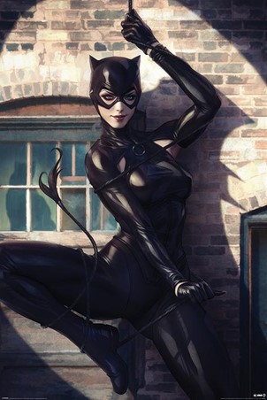 Déguisement Catwoman Maxi Poster 61cm x 91.5cm Dark Knight Rises Batman 