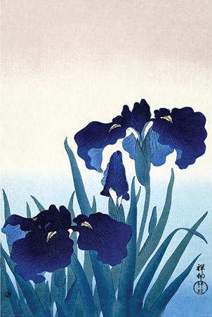 Iris Flowers, Ohara Koson