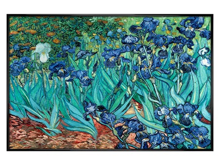 Vincent Van Gogh Art Framed Posters & Posters - Buy Online at PopArtUK