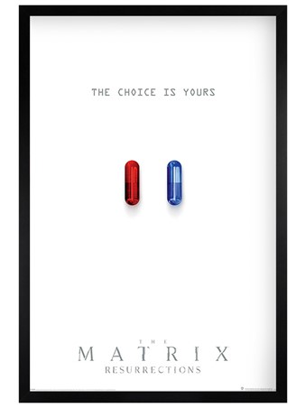 Black Wooden Framed The Choice is Yours Framed Poster
