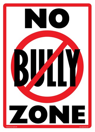 No Bully Zone, Playground Rules Poster - Buy Online