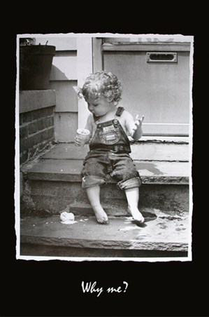 Why Me? - Humorous Photography