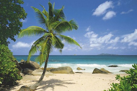 Palm Beach - Tropical Paradise