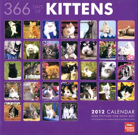 Purrfect Pets - 366 Days of Kittens