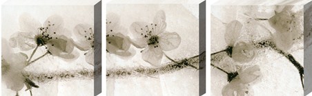 Ice Form Trio - Tripytch Flower