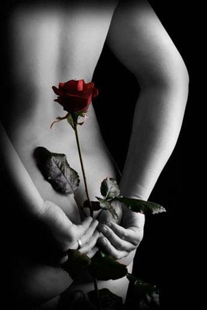Secret Rose - Intimate Portrait