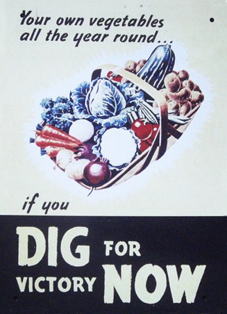 Your Own Vegetables All Year Round - Dig for Victory