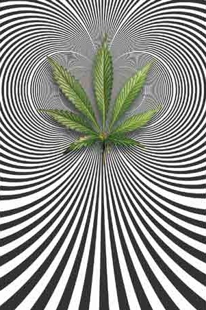 Cannabis Optical Illusion - Kurt Ananda