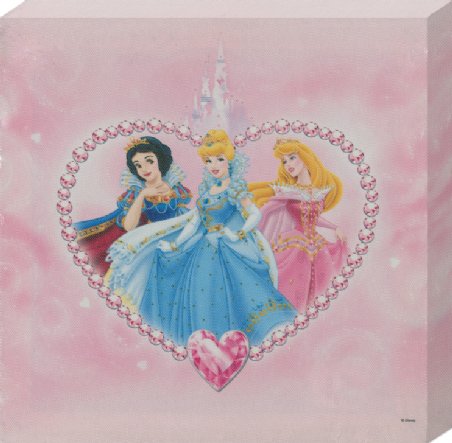Living the Dream - Disney Princesses