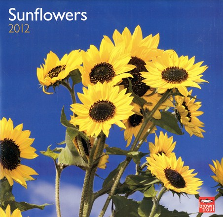 Botanical Beauty - Sunflowers