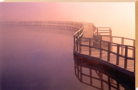 Misty Boardwalk in Canada - Dale Wilson