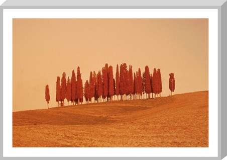 Sunset in Tuscany - W Krecichwost