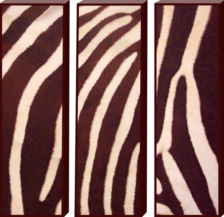 Animal Art Trio - Animal Print
