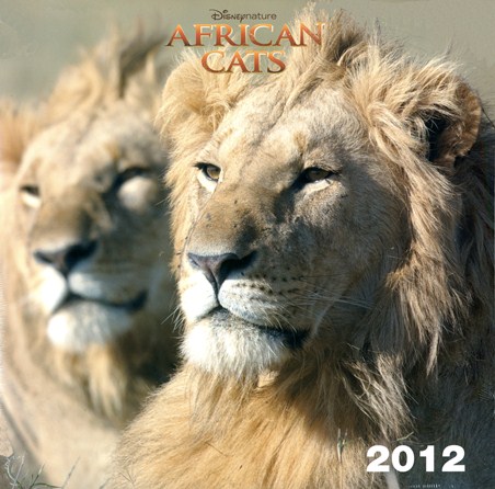Kings of the Wild - African Cats