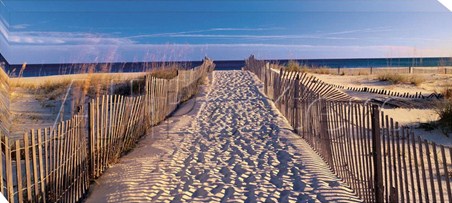 Pathway to the Beach - Joseph Sohm
