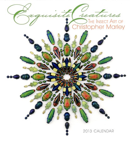 Exquisite Creatures - Christopher Marley