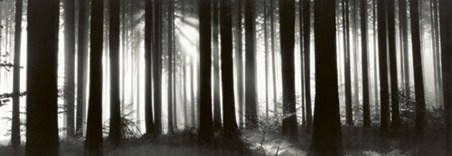 Black Forest - Germany - Helmut Hirler