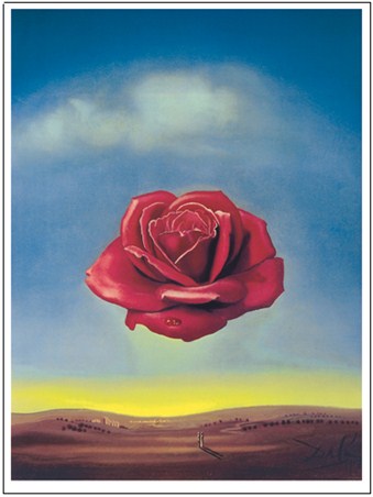 Meditative Rose 1958 - Salvador Dali