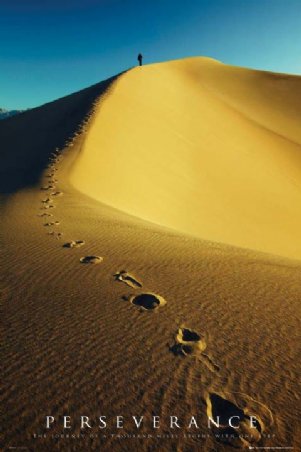 The Journey... - Perseverance