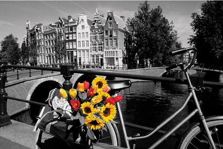 Tulips from Amsterdam - Traditional Dutch Canalside Scene