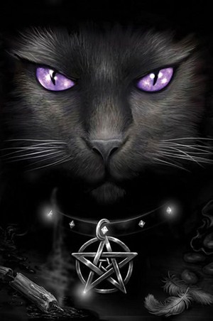 Magical Cat - Spiral