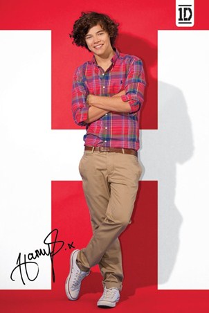 Harry Styles, One Direction Poster - PopArtUK