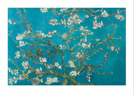 Almond Blossom San Remy 1890 - Vincent Van Gogh