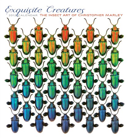 Exquisite Creatures - Christopher Marley