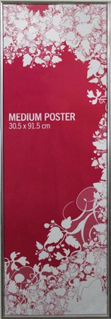 30.5x91.5cm Brushed Silver Poster Frame - Suitable for Slim Posters