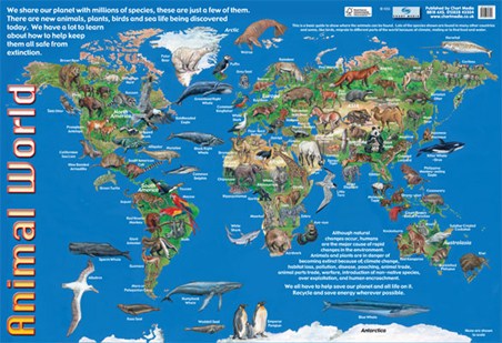 Animals of the World, Animal World Map Poster - Buy Online