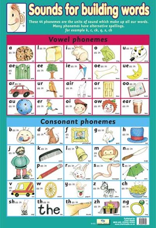 phonetic environment To Building Words, Sounds Poster Introduction Phonemes For