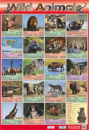 Lion Cubs, Fun Facts Mini Poster - PopArtUK