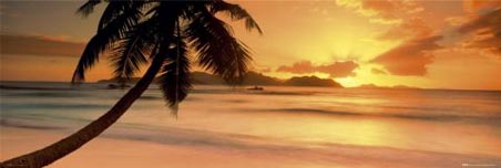 Seychelle Island - Tropical Island Scene