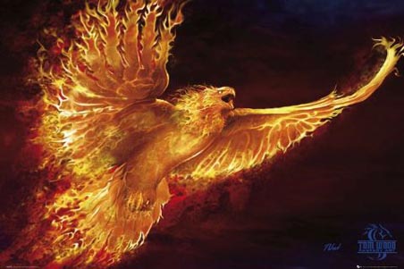 Phoenix - Tom Wood