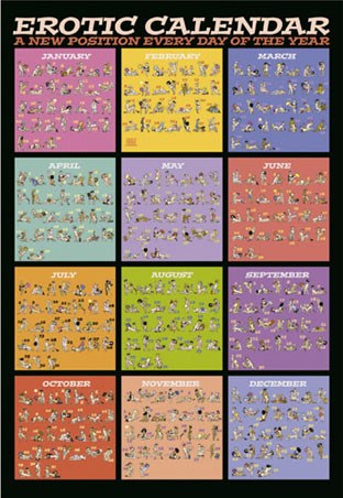 The Erotic Calendar - A New Position Every Day!