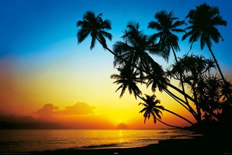 The Colour of Dusk - Paradise Beach