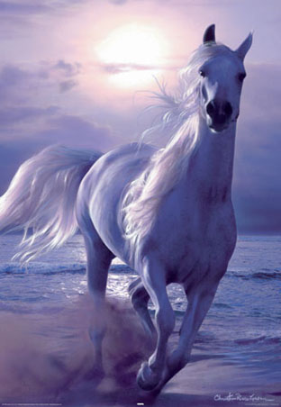 Galloping Horse - Arabian Nights - Lassen