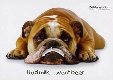 Had Milk Want Beer - Zelda Wisdom