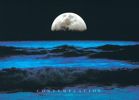 Contemplation - Motivational Poster