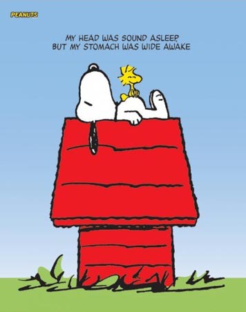 Snoopy and Woodstock - Peanuts - Charles M. Schultz