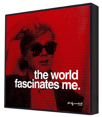 The World Fascinates Me - Andy Warhol Box Print