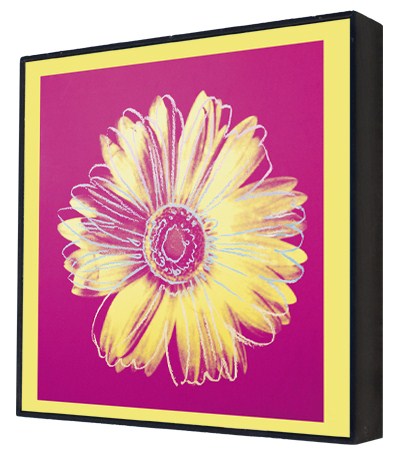 Daisy, c.1982 (fuschia and yellow) - Andy Warhol Box Print