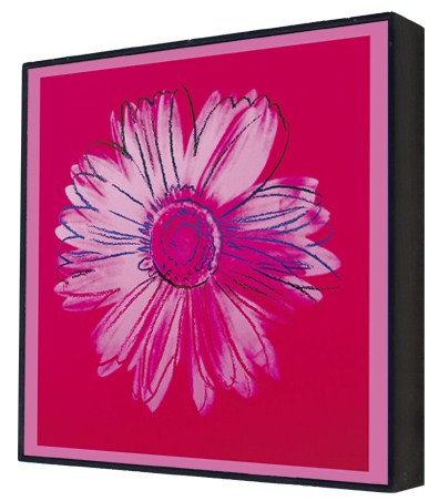 Daisy, c.1982 (crimson and pink) - Andy Warhol Box Print