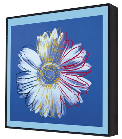 Daisy, c.1982 (blue on blue) - Andy Warhol Box Print
