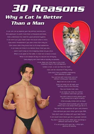 Why a Cat is better than a Man - Thirty Reasons, Cat