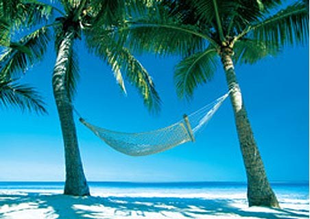 Hammock in the Sun - Paradise Island