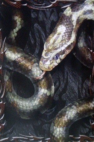 Deadly Venom - Spiral
