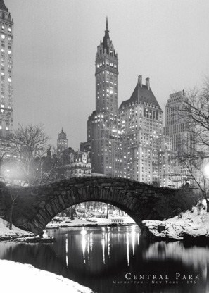 Central Park in Winter - New York