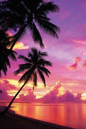 Sunset on a Tahitian Beach - Purple Sky