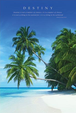 Destiny II - Island Palm Trees